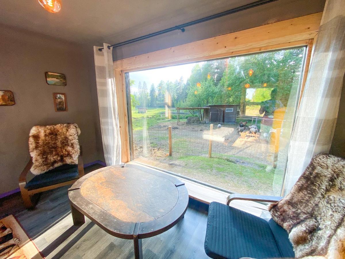 Private Farm Jakuzzi Sauna In The Forest Talsi Kültér fotó