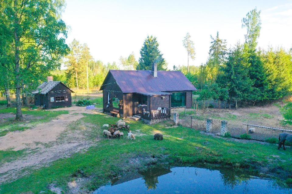 Private Farm Jakuzzi Sauna In The Forest Talsi Kültér fotó