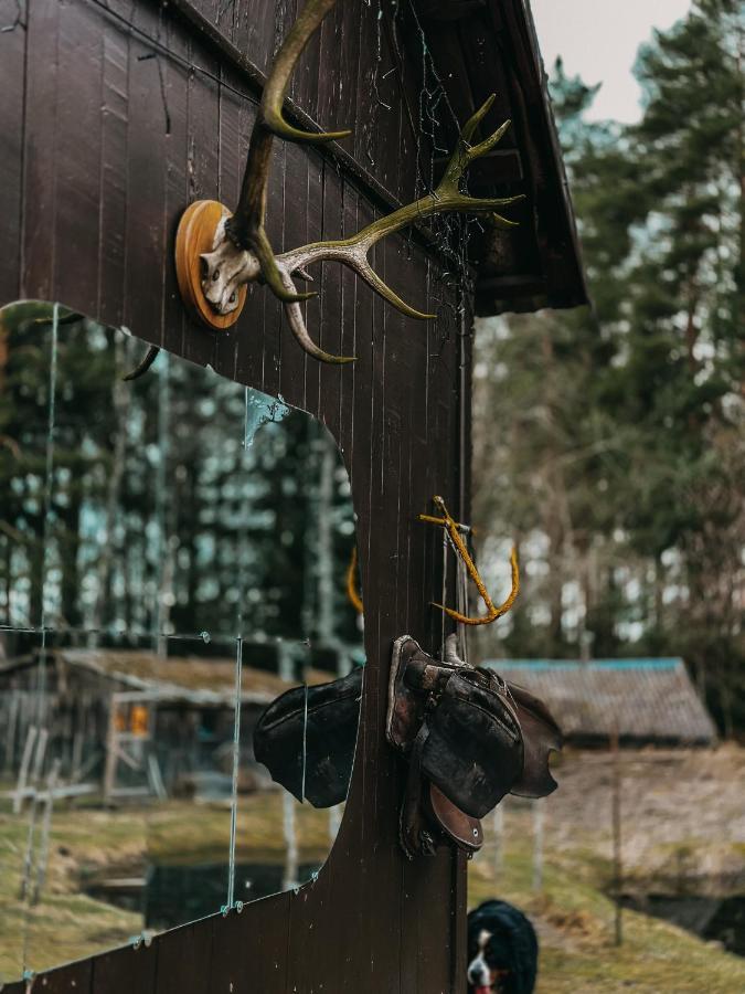 Private Farm Jakuzzi Sauna In The Forest Talsi Kültér fotó